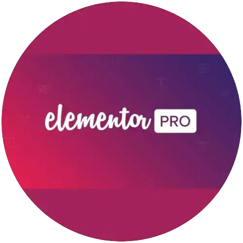 Elementor Pro