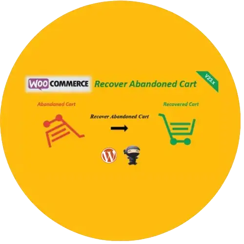 Abandoned Cart Addon WordPress Plugin