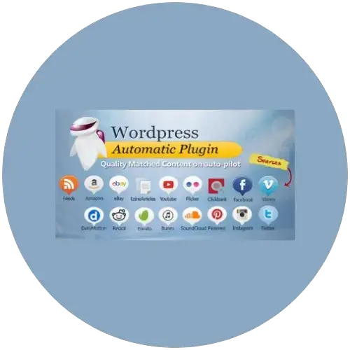 WP Automatic WordPress Plugin