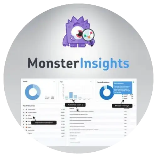 MonsterInsights Plus WordPress Plugin