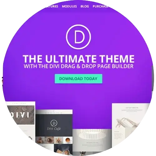 DIVI WordPress Theme