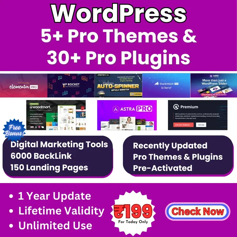 WordPress Themes & Plugins